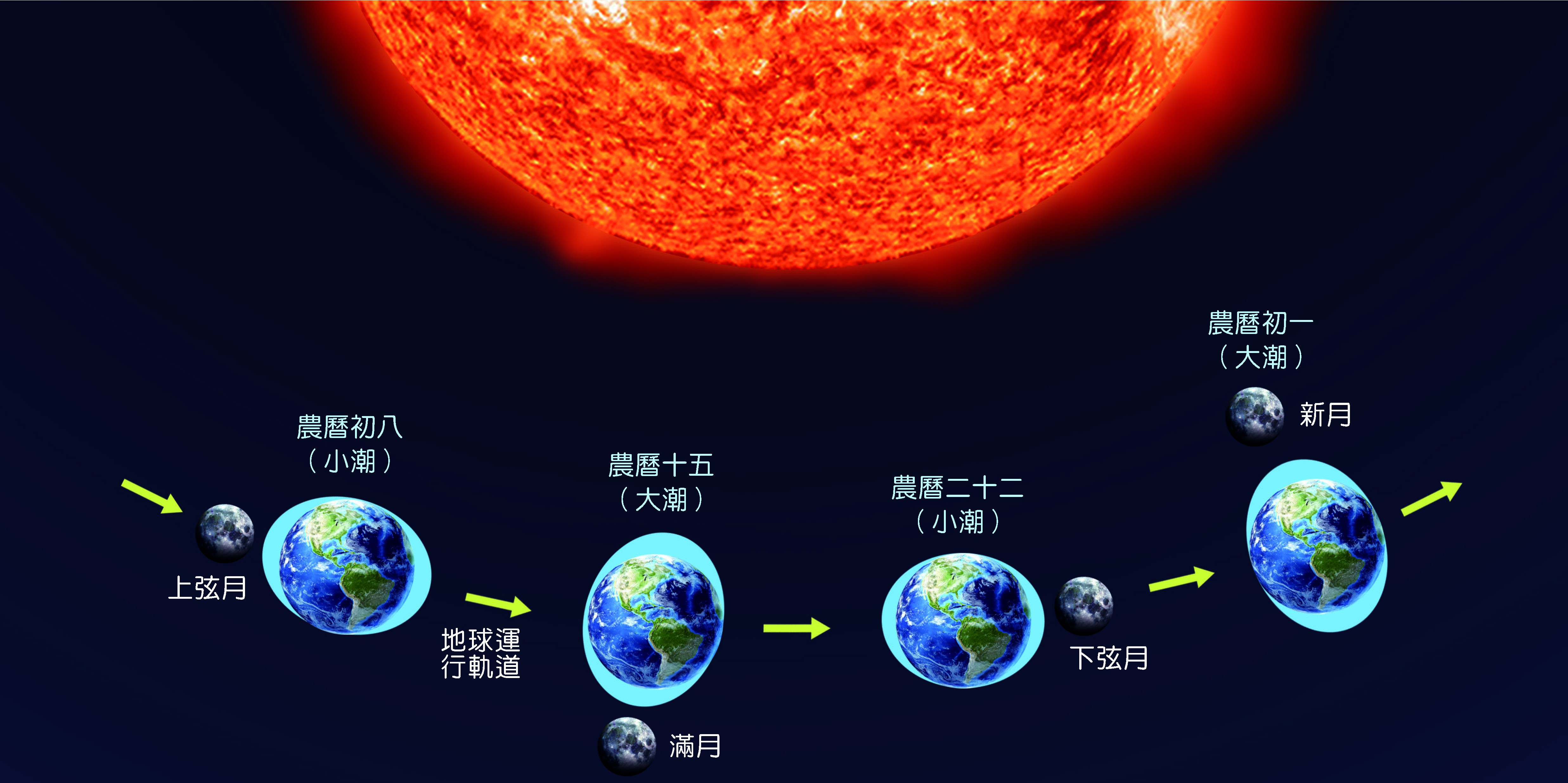 地球受月球與太陽引潮力影響