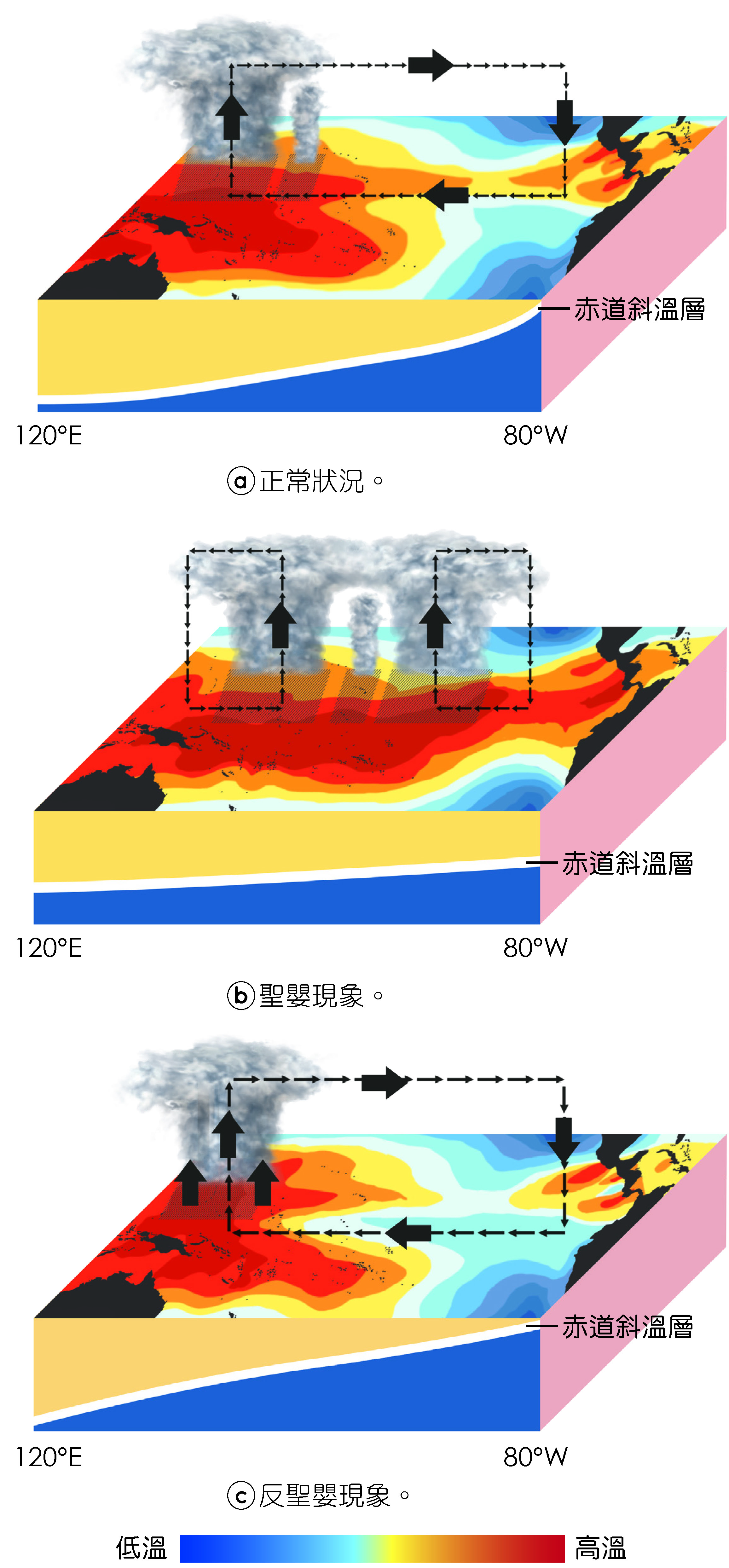 赤道太平洋區海溫、大氣環流及斜溫層變化